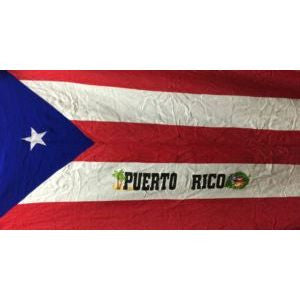 Puerto Rico Flag Hammock